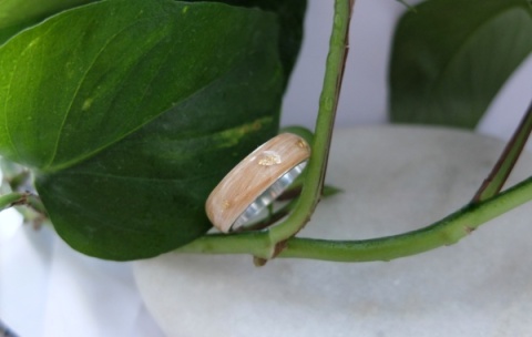 obrączka pamiątkowa z sierścią - obrączka personalizowana