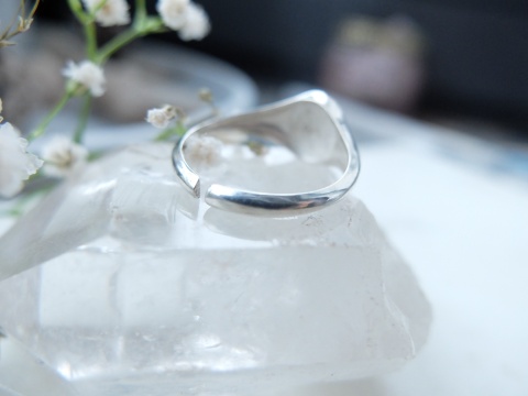 Pierścionek z odbiciem łapki/noska