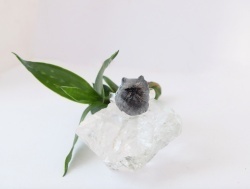 ręcznie malowany kot na pierścionku - pierścionek z kotem